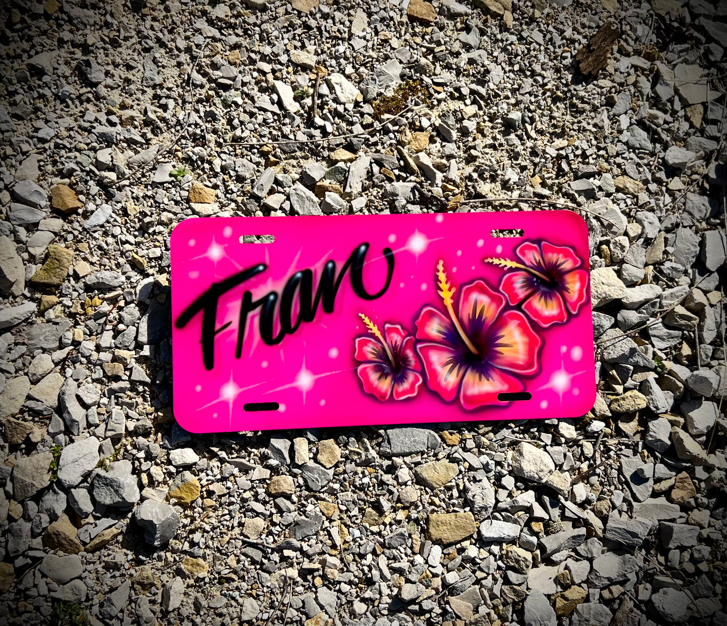 Pink Airbrushed Front License Plate with flowers - Custom - Personalized