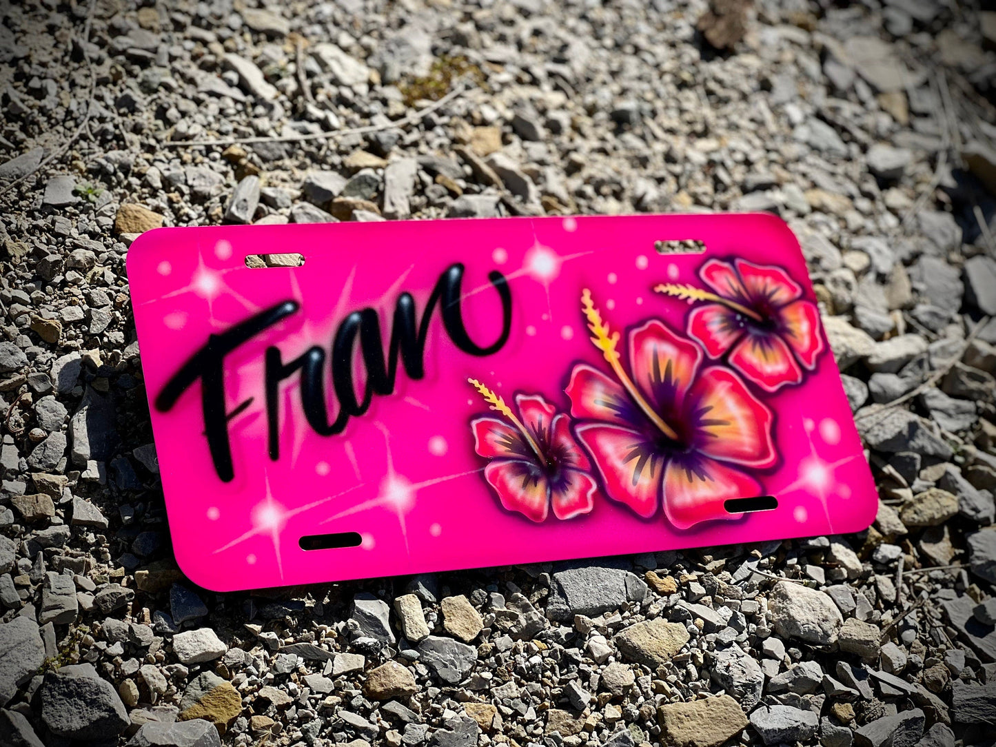 Pink Airbrushed Front License Plate with flowers - Custom - Personalized