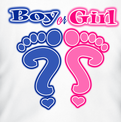 gender reveal shirts - team girl shirts - team boy shirts- reveal party shirts - announcement shirts - gender reveal idea